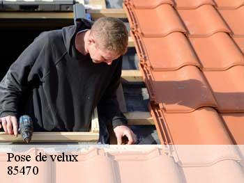 Pose de velux  85470