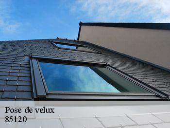 Pose de velux  85120