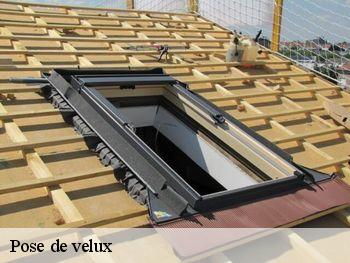 Pose de velux  85270