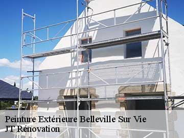 Peinture Extérieure  85170